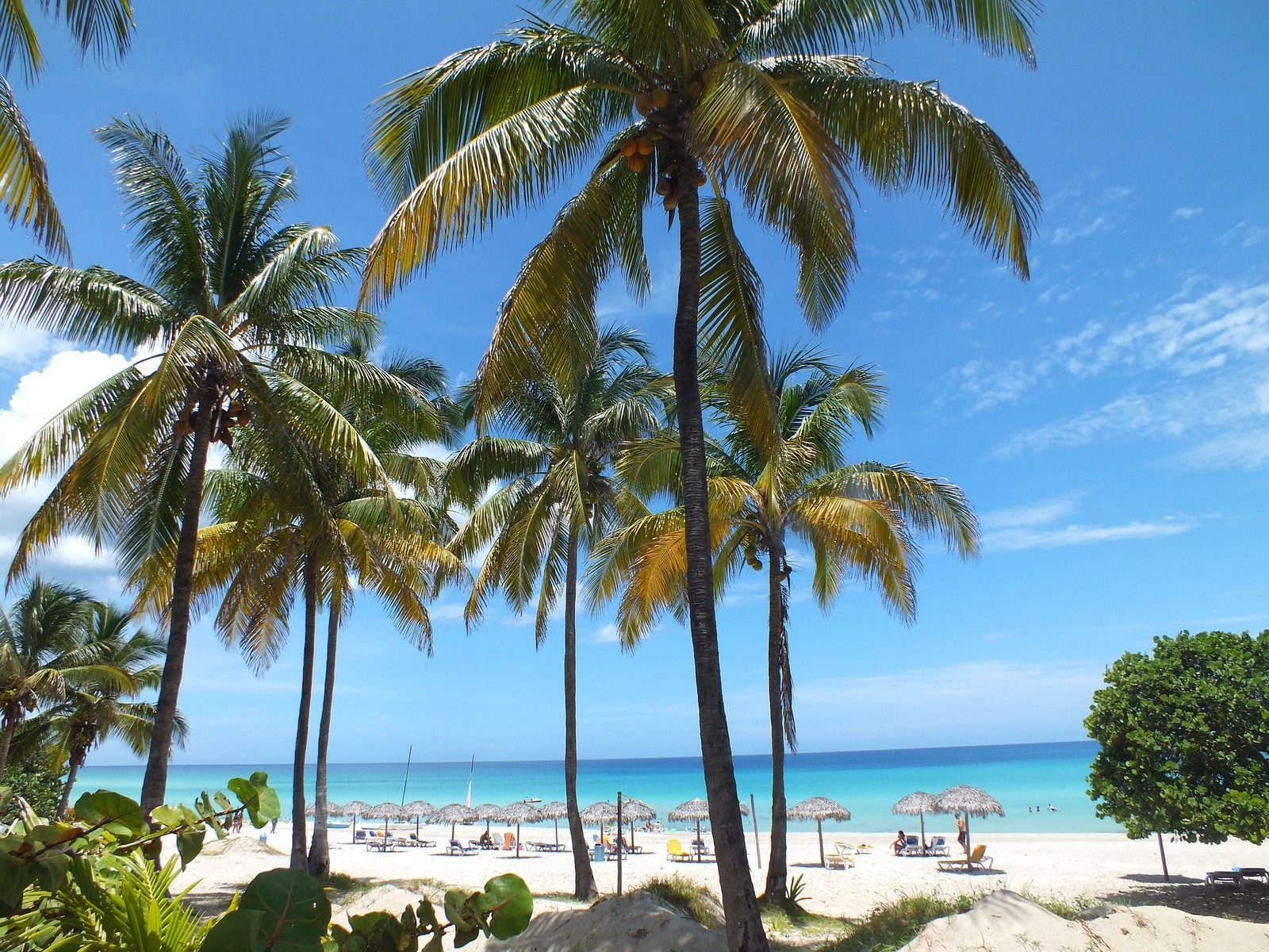 Havana Playas del Este